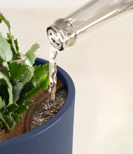 Load image into Gallery viewer, -