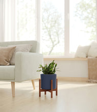 Load image into Gallery viewer, -