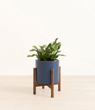 Load image into Gallery viewer, -