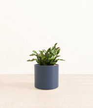 Load image into Gallery viewer, -