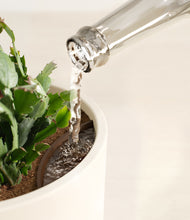 Load image into Gallery viewer, -