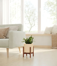 Load image into Gallery viewer, -