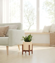 Load image into Gallery viewer, -