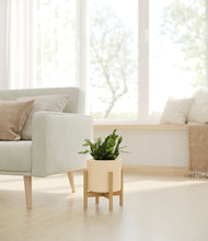 Load image into Gallery viewer, -