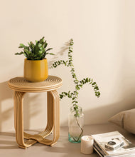 Load image into Gallery viewer, -