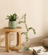 Load image into Gallery viewer, -