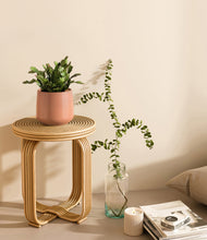 Load image into Gallery viewer, -