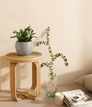 Load image into Gallery viewer, -