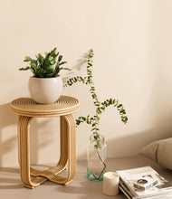 Load image into Gallery viewer, -