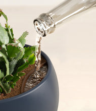 Load image into Gallery viewer, -