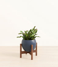 Load image into Gallery viewer, -