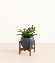 Load image into Gallery viewer, -