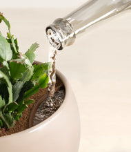 Load image into Gallery viewer, -