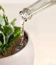 Load image into Gallery viewer, -