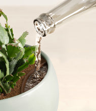 Load image into Gallery viewer, -