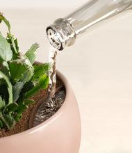 Load image into Gallery viewer, -