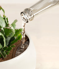 Load image into Gallery viewer, -