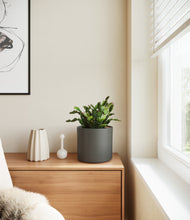 Load image into Gallery viewer, -