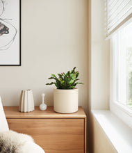 Load image into Gallery viewer, -