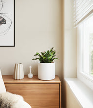 Load image into Gallery viewer, -