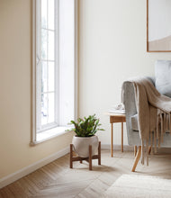 Load image into Gallery viewer, -