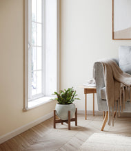 Load image into Gallery viewer, -