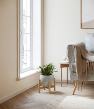 Load image into Gallery viewer, -