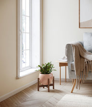 Load image into Gallery viewer, -