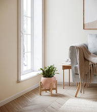 Load image into Gallery viewer, -