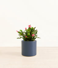 Load image into Gallery viewer, Deep Navy*****Profile