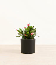 Load image into Gallery viewer, Black*****Profile