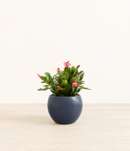 Load image into Gallery viewer, Deep Navy*****Profile