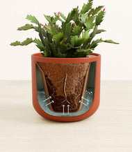 Load image into Gallery viewer, Earth Red