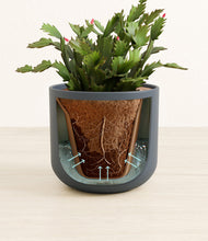 Load image into Gallery viewer, Iron Gray