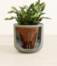 Load image into Gallery viewer, Sage Green