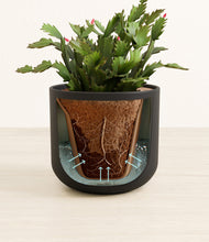 Load image into Gallery viewer, Stone Black