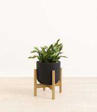 Load image into Gallery viewer, Stone Black stand:bamboo