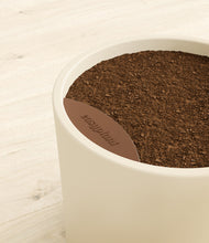 Load image into Gallery viewer, Cream