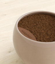 Load image into Gallery viewer, Desert Brown