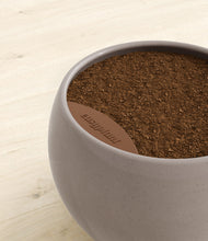 Load image into Gallery viewer, Winter Clouds