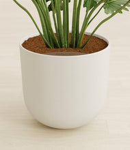 Load image into Gallery viewer, Natural Bamboo stand:all