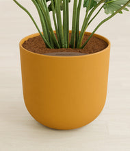 Load image into Gallery viewer, Sunset Orange stand:all