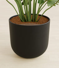 Load image into Gallery viewer, Stone Black stand:all