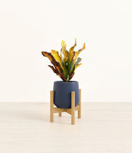 Load image into Gallery viewer, Deep Navy stand:bamboo