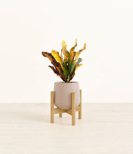 Load image into Gallery viewer, Eternal Gray stand:bamboo