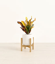 Load image into Gallery viewer, White stand:bamboo