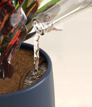 Load image into Gallery viewer, Deep Navy stand:all