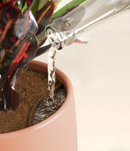 Load image into Gallery viewer, Calm Rose stand:all