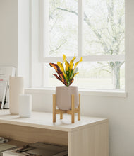 Load image into Gallery viewer, Eternal Gray stand:bamboo