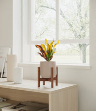 Load image into Gallery viewer, Eternal Gray stand:walnut